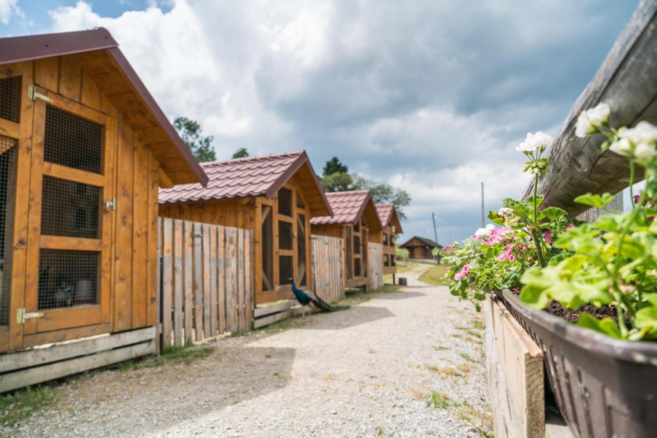 Salas Syrex Zázrivá Exterior foto